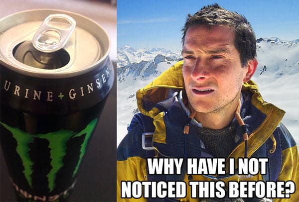 bear grylls monster energy drink meme