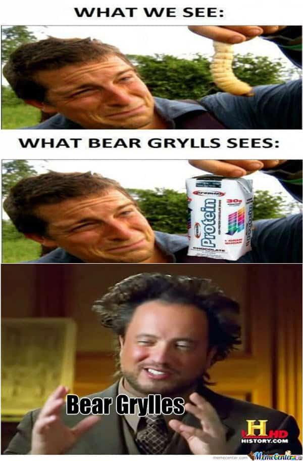 bear grylls what we see meme