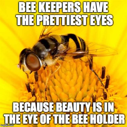 20 Entertaining Bee Memes You Just Can't Ignore - SayingImages.com