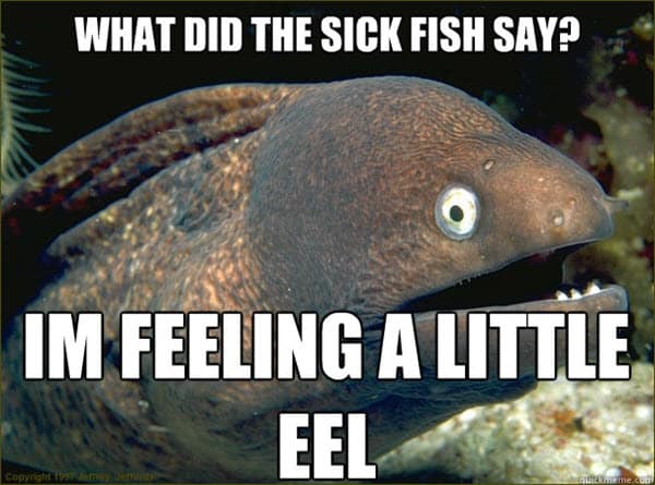 being sick feeling a little eel meme