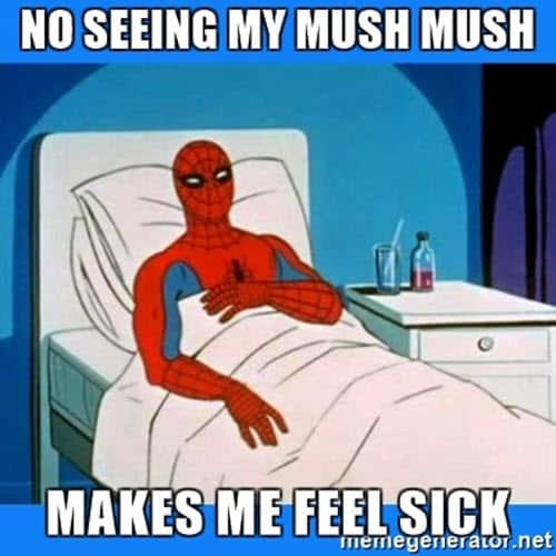 being sick mush mush meme