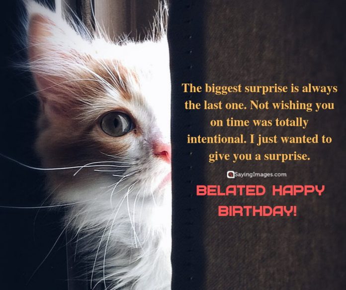 Belated Birthday Wish #1