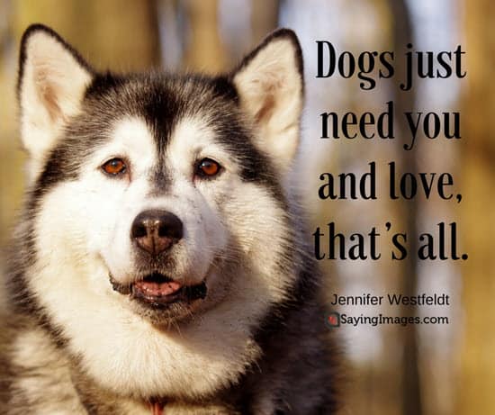 best dog quotes