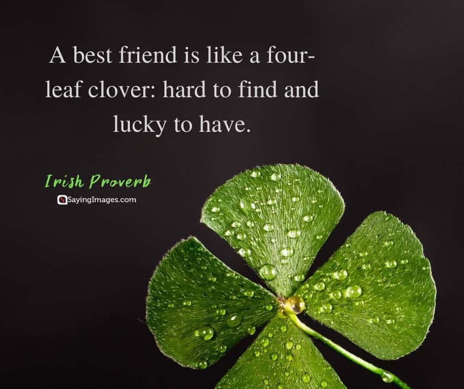 best friend clover quotes