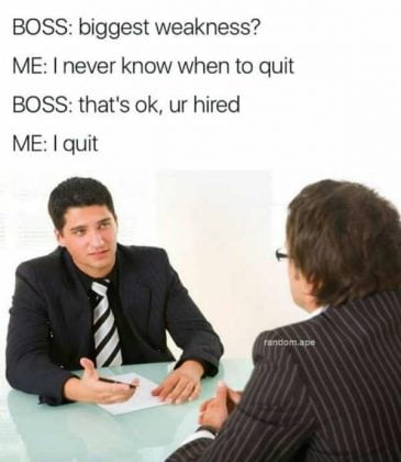 30 Funniest Job Interview Memes Of All Time - SayingImages.com