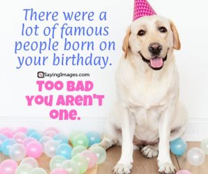 200+ Happy Birthday Wishes, Messages & Quotes - SayingImages.com