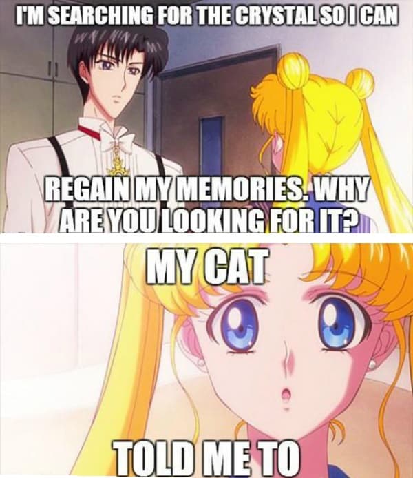 20 Totally Funny Anime Memes You Need To See 