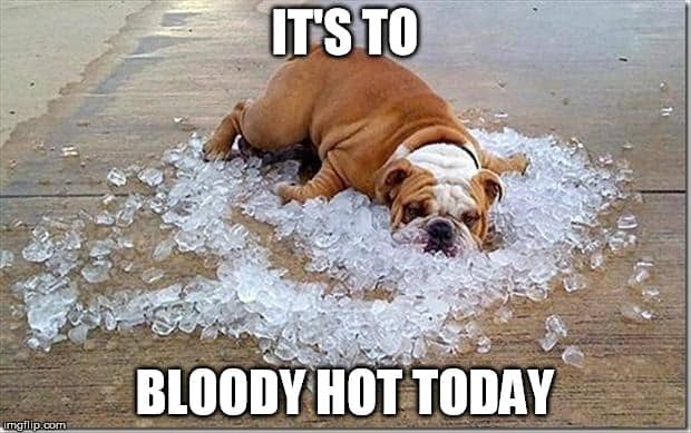 Too Bloody Hot