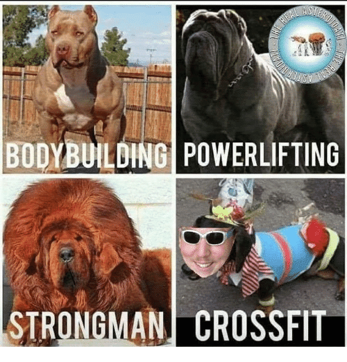 Anti Crossfit Memes