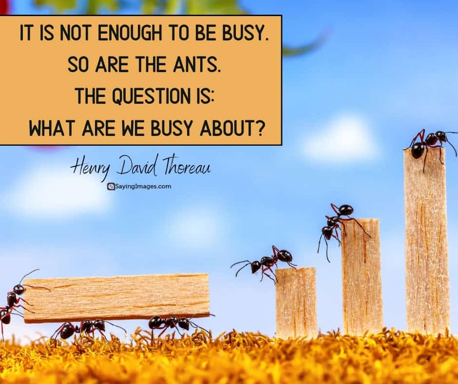 busy question quotes