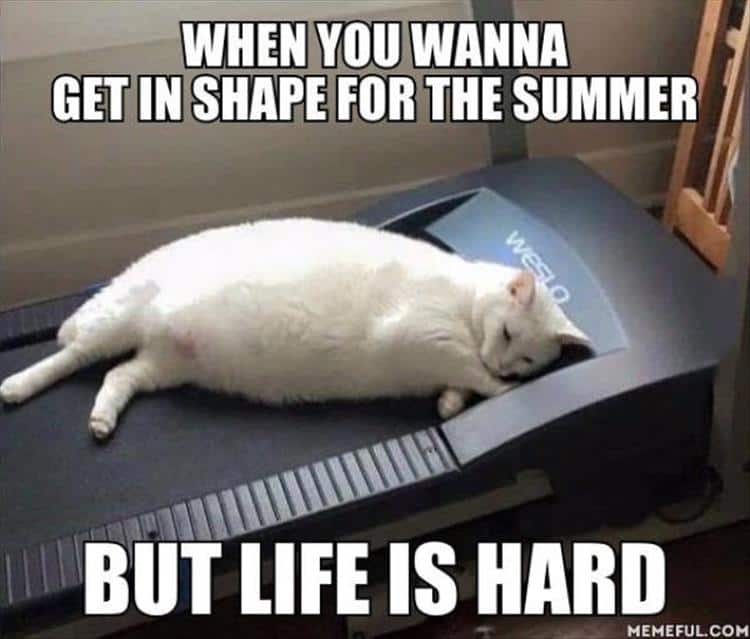 25 Hot And Hilarious Summer Body Meme Sayingimages Com