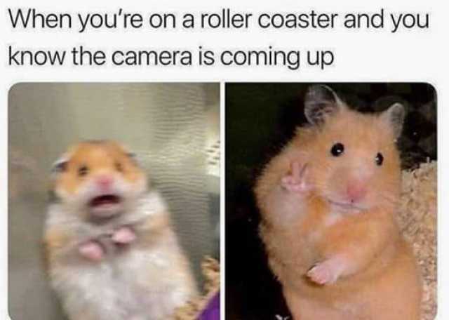 camera rollercoaster meme