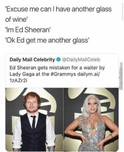 20 Ed Sheeran Memes With Cat - SayingImages.com