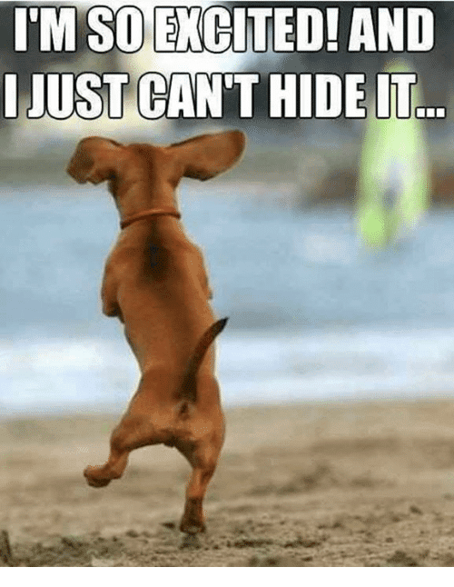 50 Best I m So Excited Memes SayingImages