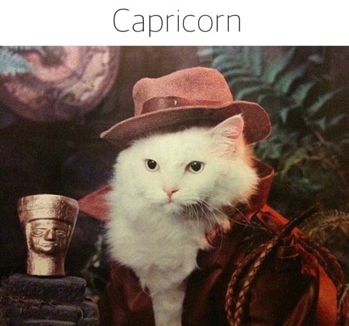 30 Best Memes About Being A Capricorn - SayingImages.com