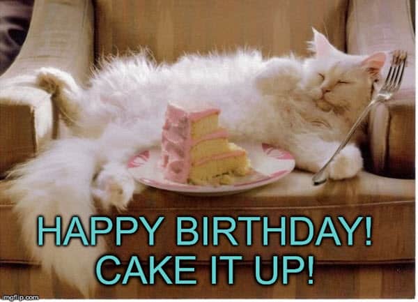 35 Cat Birthday Memes That Are Way Too Adorable - SayingImages.com