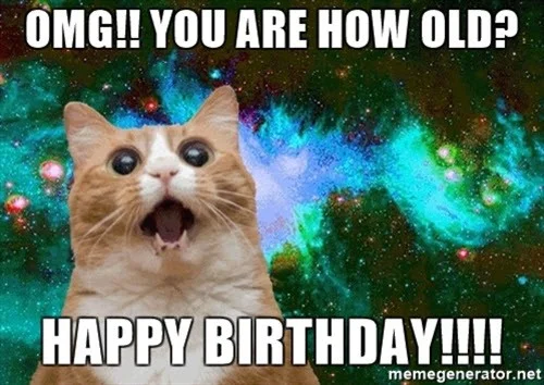 cat birthday how old are you meme
