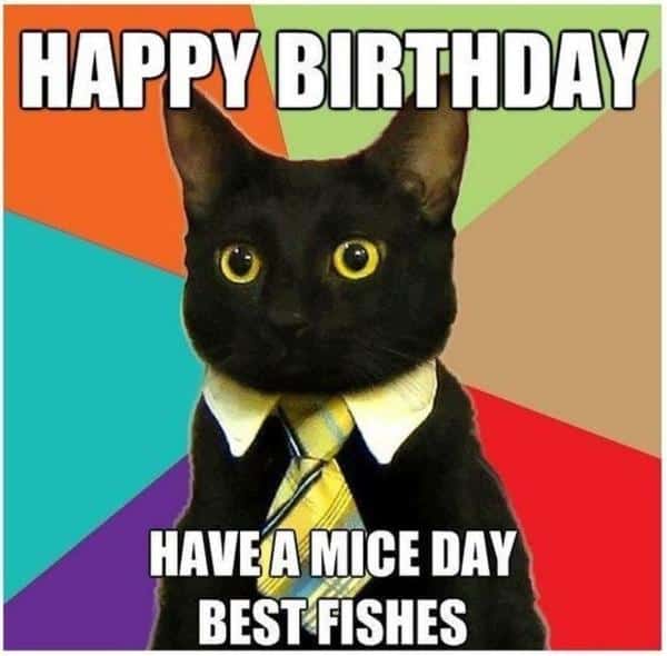 Meme del día de ratones de cumpleaños del gato