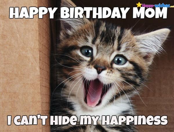 Katze Happy Birthday Mom Meme