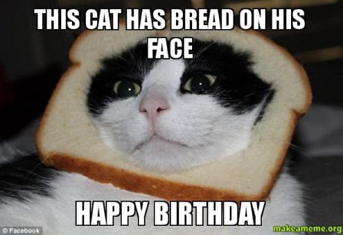 Katze hat Brot im Gesicht Geburtstag Meme