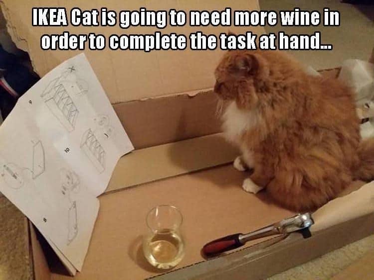 cat ikea meme