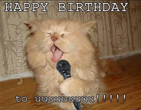 Meme de cumpleaños de gato cantando