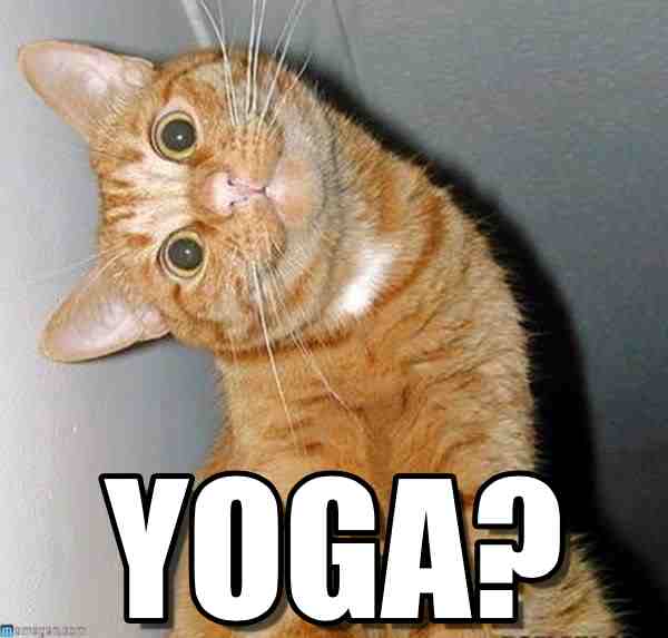 30 Yoga Memes That Are Honestly Funny - SayingImages.com