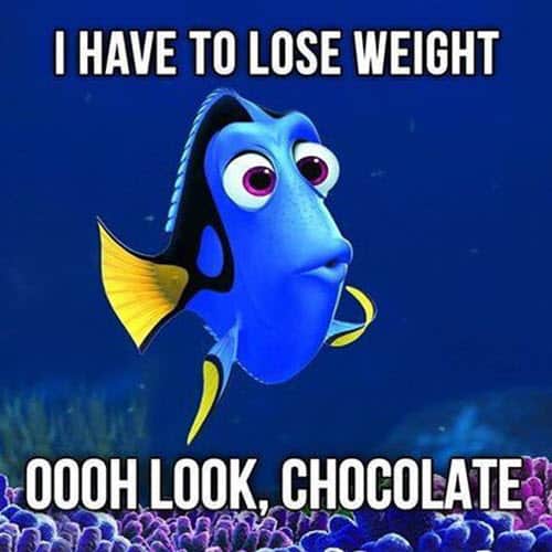 chocolate lose weight memes