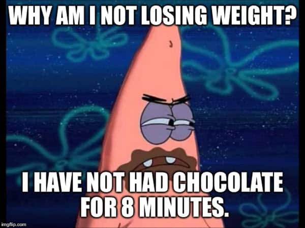 chocolate not losing weight memes