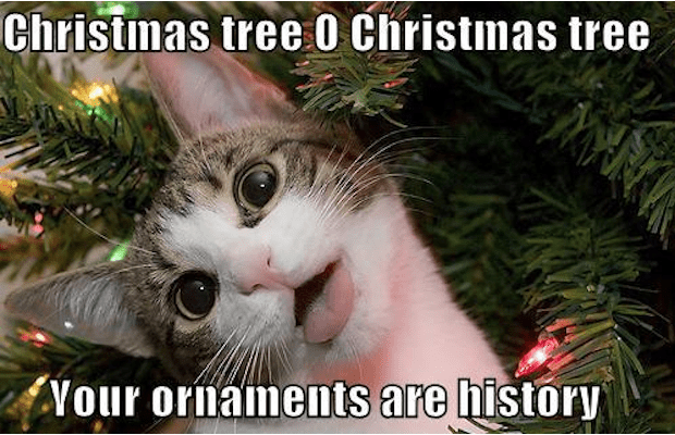 100 Funniest Merry Christmas Memes Sayingimages Com