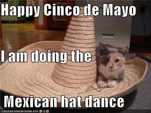 cinco de mayo mexican hat dance meme