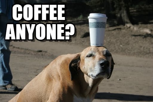 coffee anyone goodmorning meme