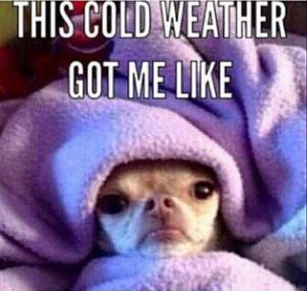 cold weather got me like meme