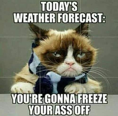 cold weather todays forecast meme