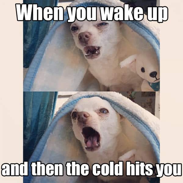 cold weather wake up meme