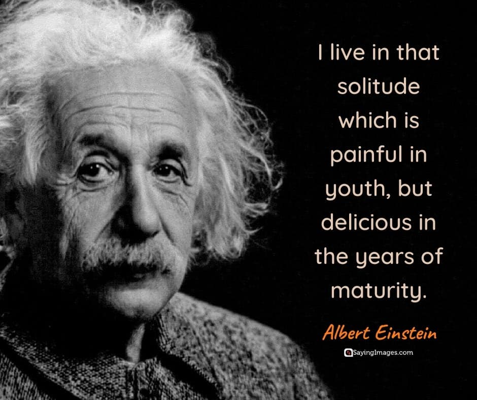 cool solitude quote sayings