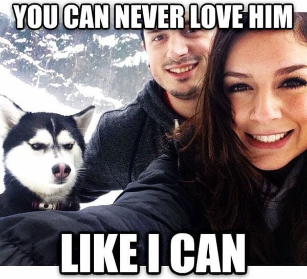 couple you can never love him memes