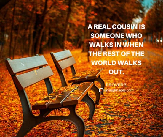 cousins friends quotes