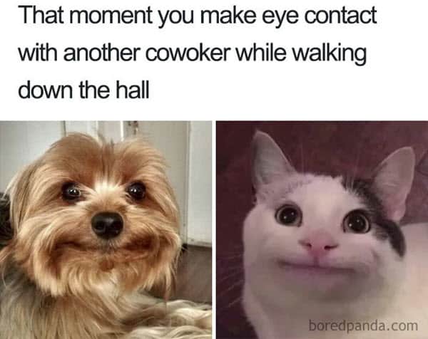 coworker eye contact meme