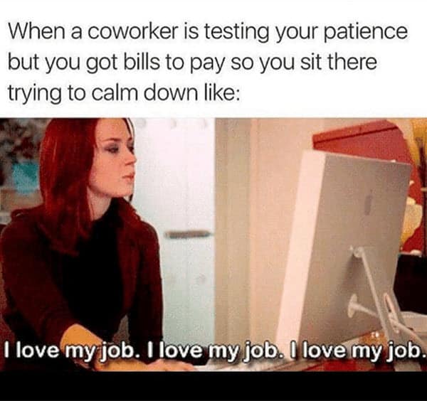 coworker love my job meme