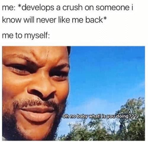 crush develops memes