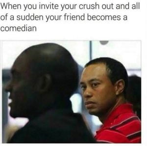 40 Funny Crush Memes You Probably Know Too Well - SayingImages.com