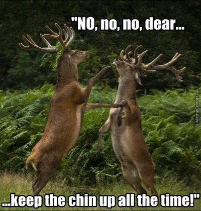 The 20 Best Deer Hunting Memes (So Far) - SayingImages.com