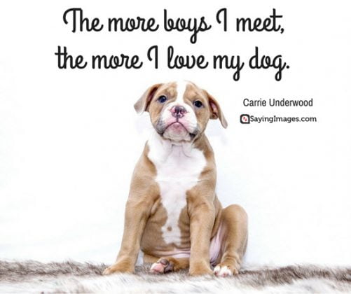 Dog Love Quotes On Unconditional Love And Belly Rubs