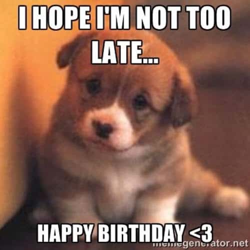 cute happy belated birthday meme