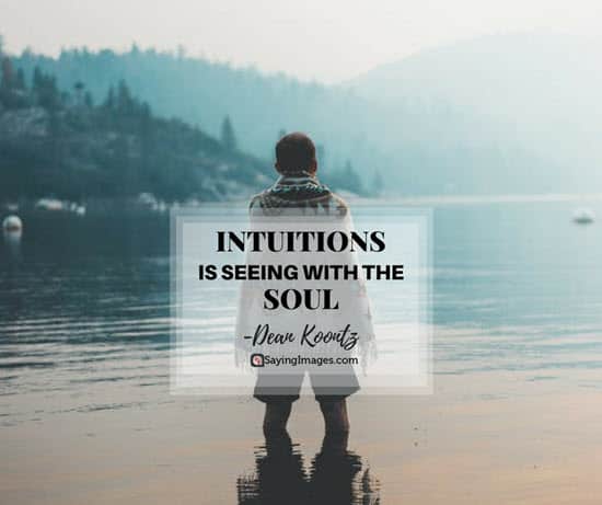 dean koontz intuition quotes
