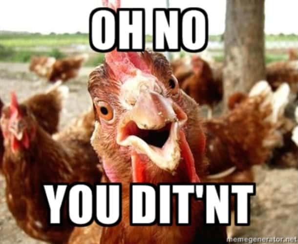 20 Chicken Memes That Are Surprisingly Funny 