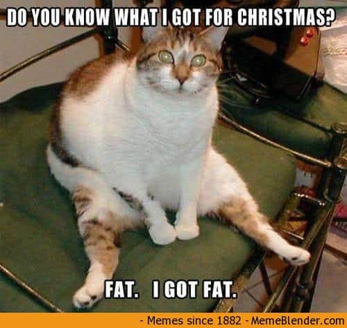 [Image: do-you-know-what-i-got-for-christmas-fat...-memes.jpg]