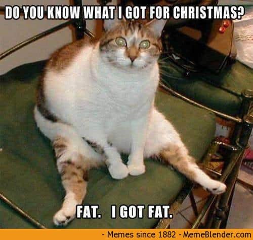 100 Funniest Merry Christmas Memes | SayingImages.com