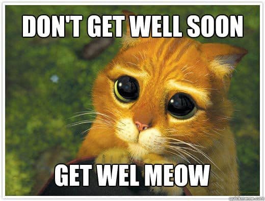 40 Funny Get Well Soon Memes To Cheer Up Your Dear One Sayingimages Com